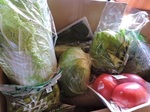 野菜1