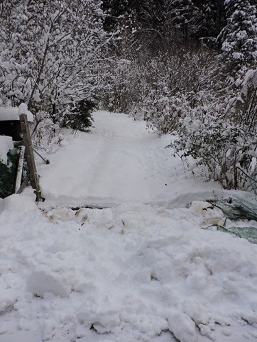雪景色