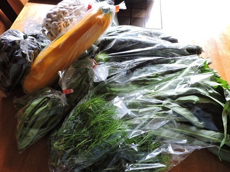 野菜いろいろ