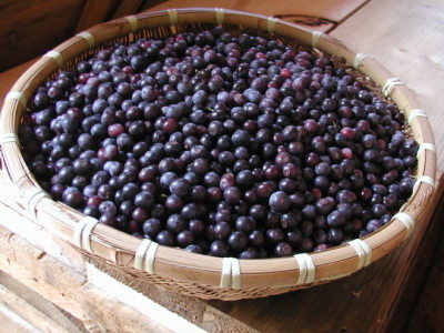 bb10.jpg