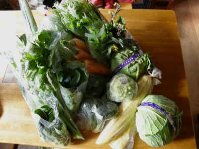 購入した野菜類