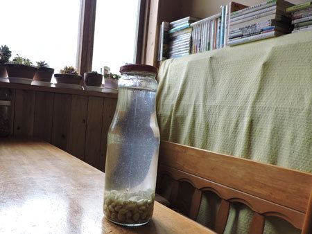 柚子化粧水(1)