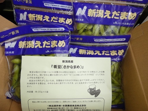 肴豆2