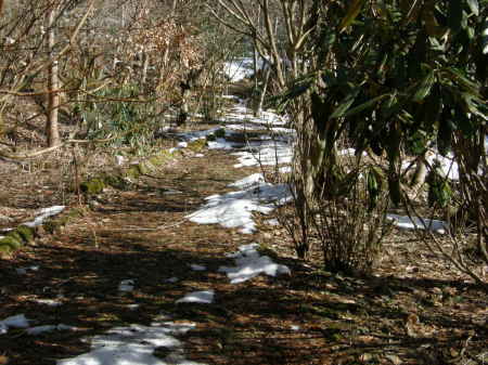 雪は