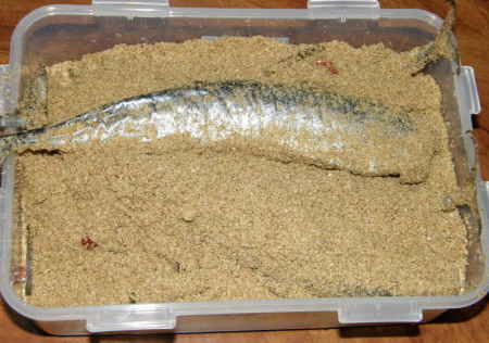 糠秋刀魚