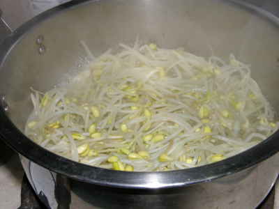 豆もやし