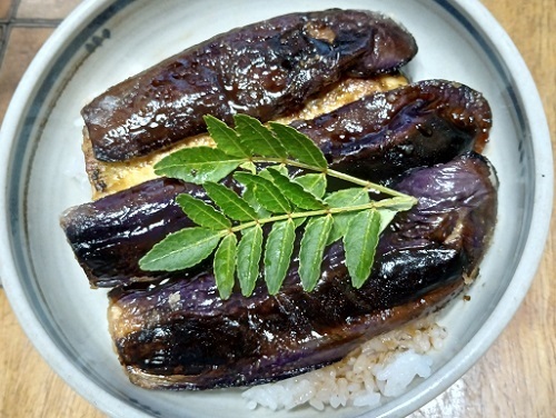 ナスビ丼