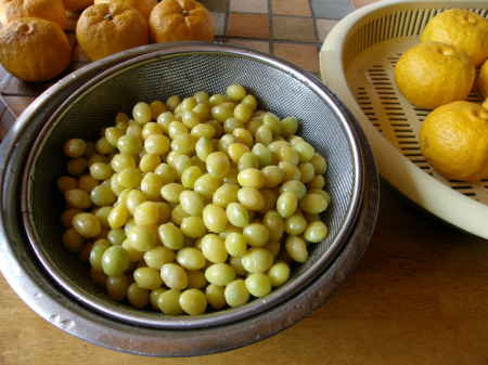 ȂT