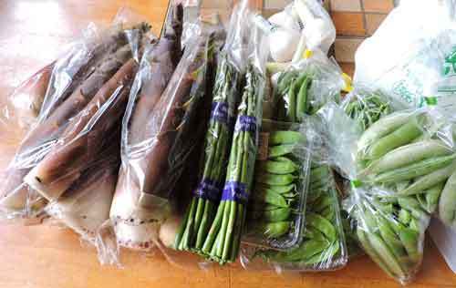 JA牧野で購入した野菜