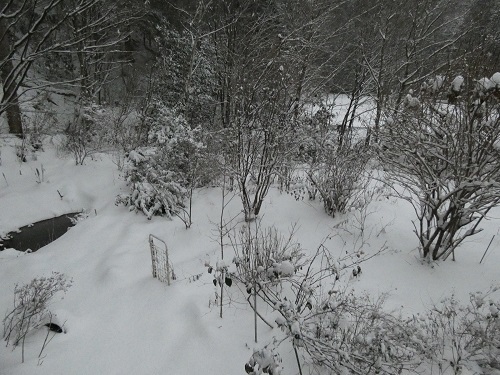 元旦の雪