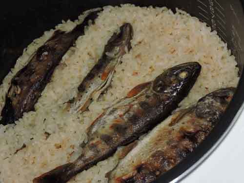 アマゴ飯