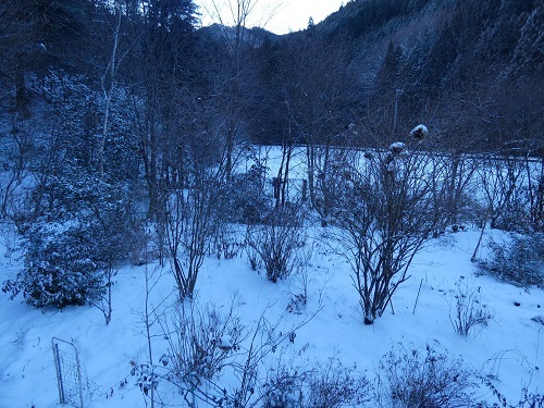 雪景色