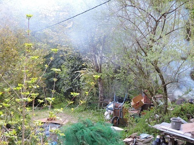 作業光景