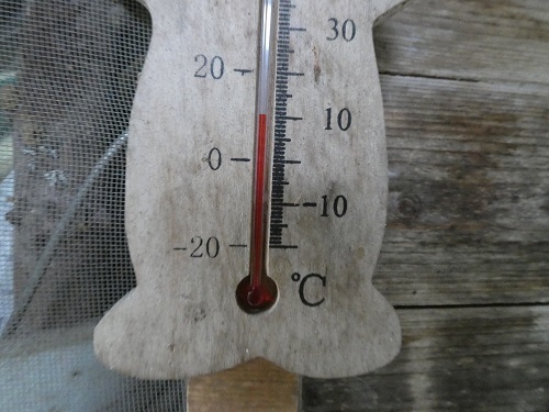 朝の気温はもうすぐ一桁