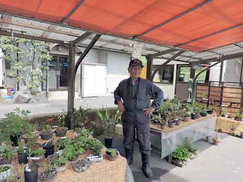 山野草店