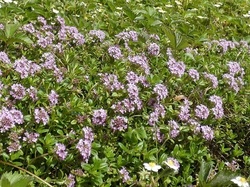 タイム1