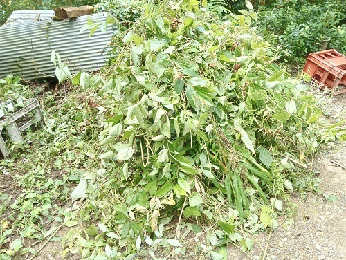 草の山