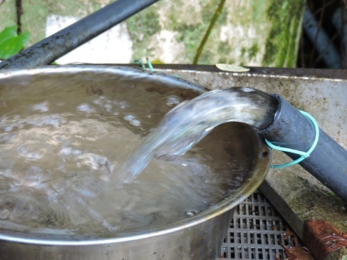 復活した渓の水