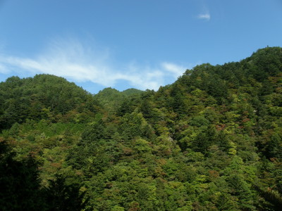 081002.jpg