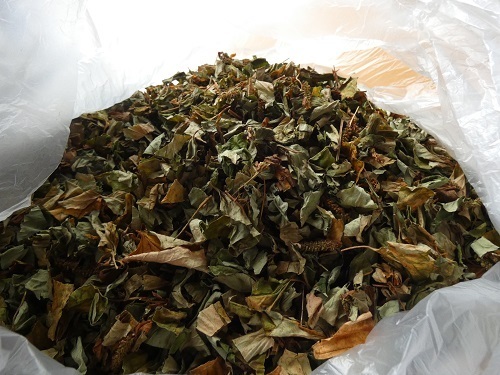 ドクダミ茶