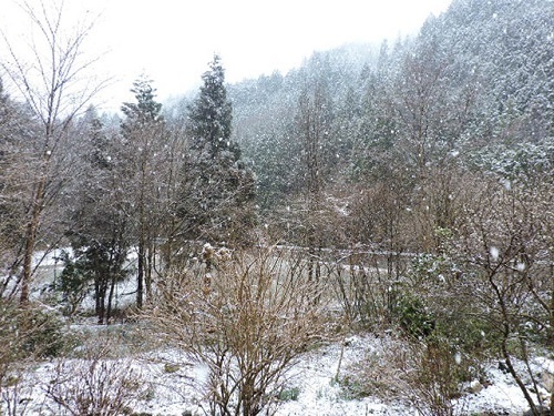 3月の雪