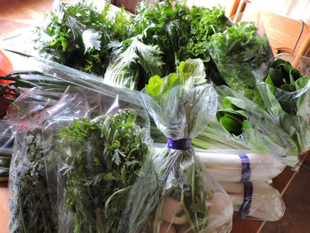 JA牧野で買い物