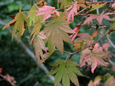 08aki03.jpg