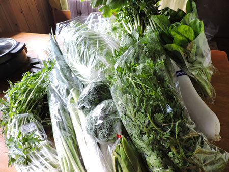 購入した野菜類