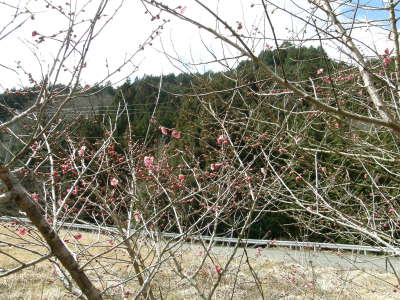 09-03-08c.jpg