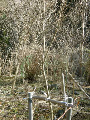 09-03-09d.jpg