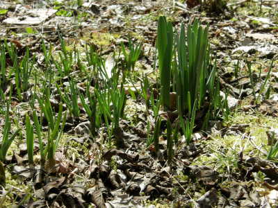 09-03-12b.jpg