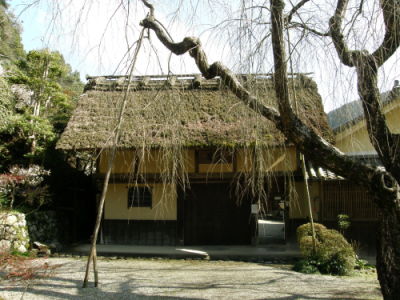 09anou08b.jpg