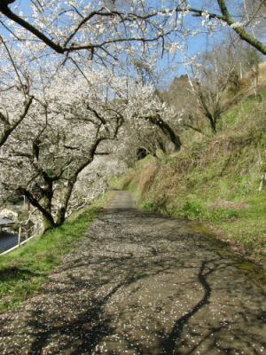 09anou09a.jpg