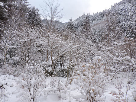 13日朝1