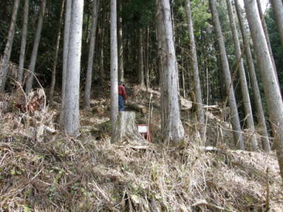 kiiさんの居る所が本伏せ場所