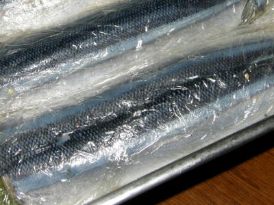 09sanmasusi01.jpg