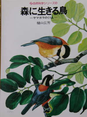 森に生きる鳥