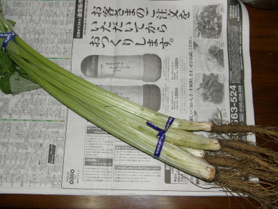 09wakagobou01.jpg