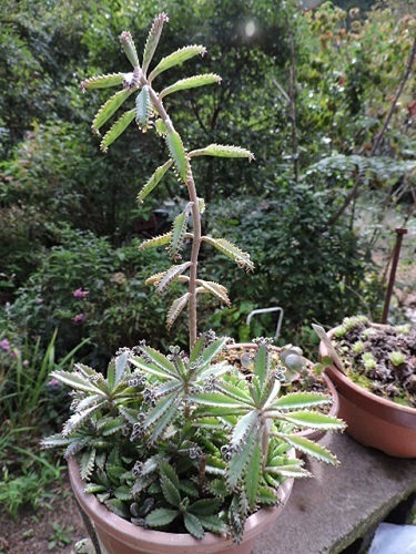 ??1