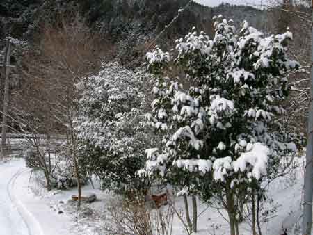 雪の日2