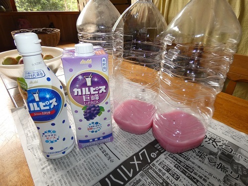 スズメバチトラップ1