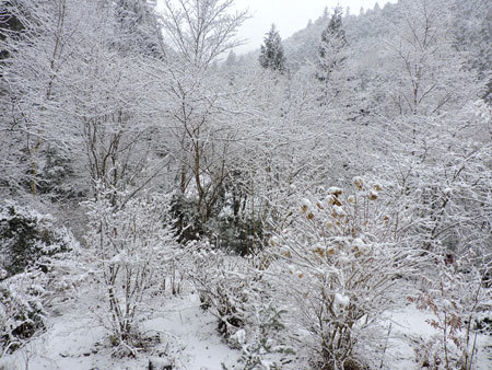 雪景色