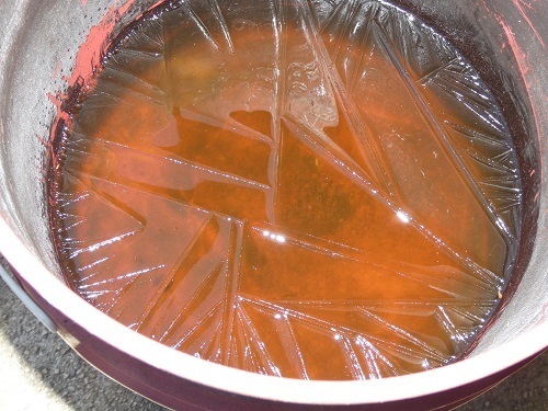 今朝は薄氷
