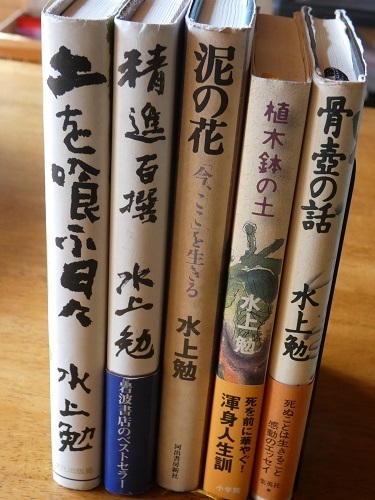 本5