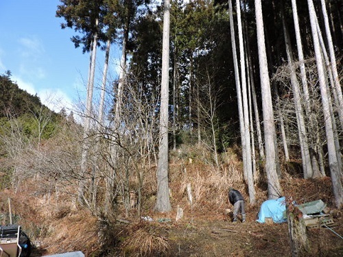 土均し1
