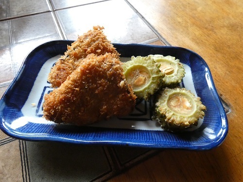 カツカツオとゴーヤー
