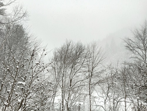 5日の雪