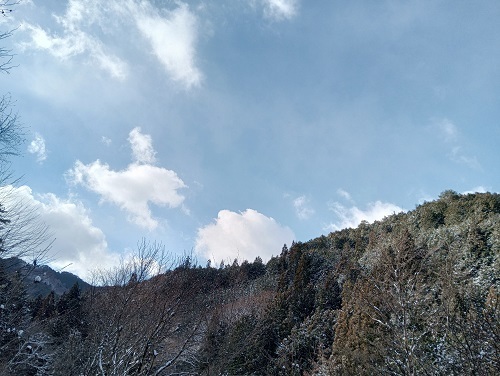 今日の午前中