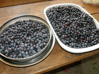 bb05.jpg