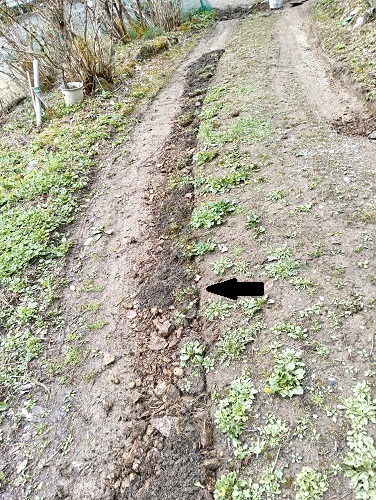 敷地内道路の補修